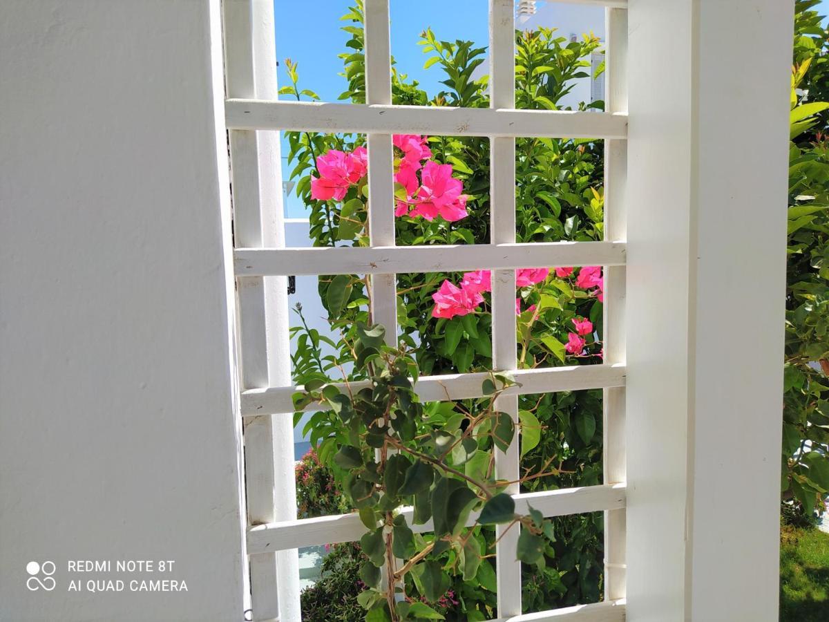 GeoNi's villa&garden spa Apollonía Eksteriør bilde